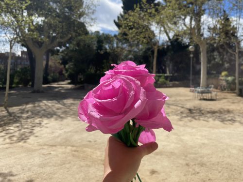roses de seda de sant jordi 2024