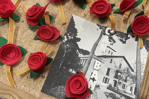 SANT JORDI 2024 ACOLLIDA I ESPERANÇA